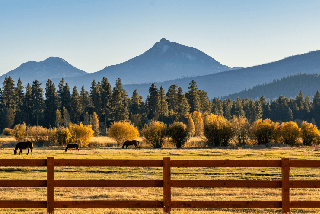 about Little ukrainian girl with white hair on the ranch