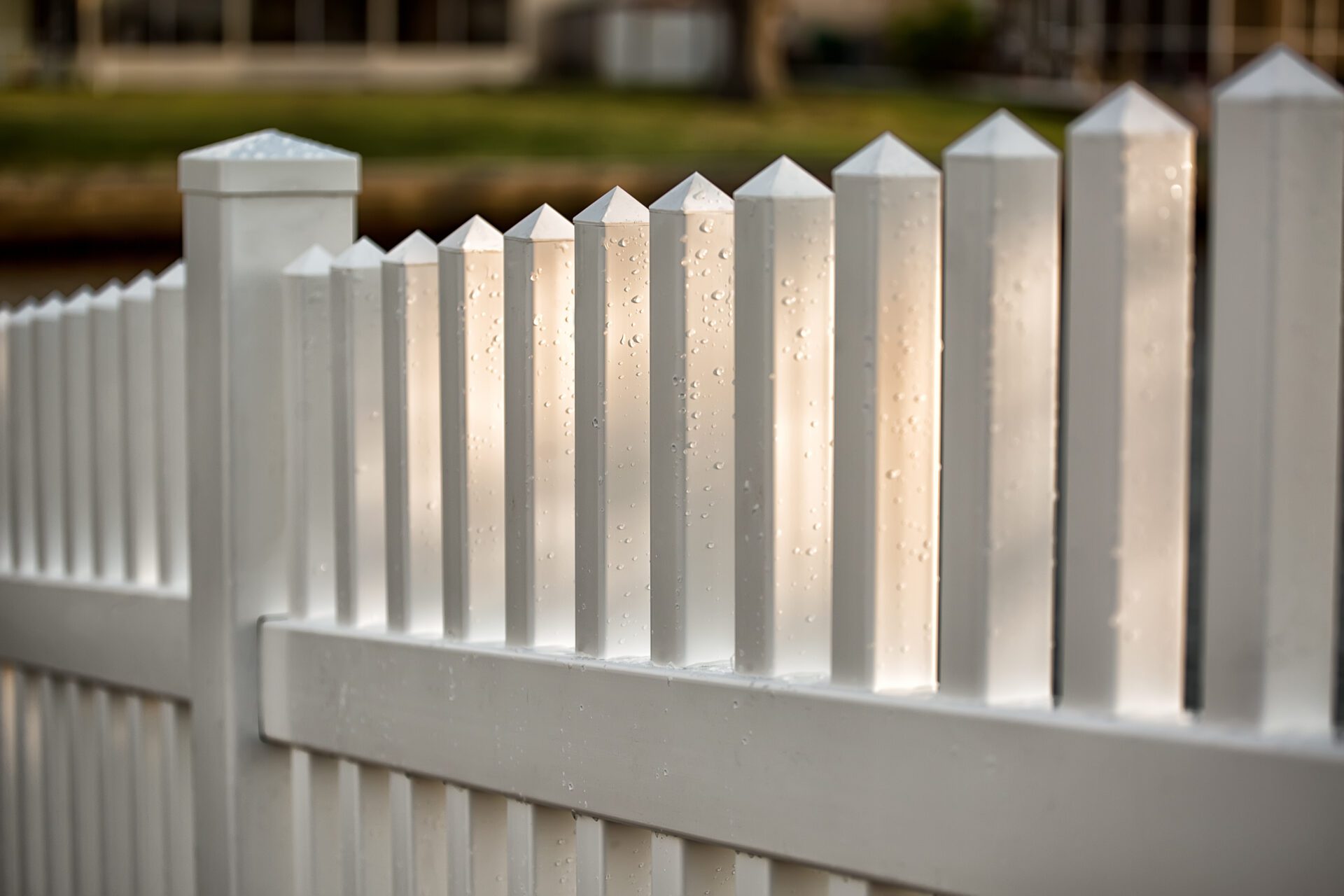 Metal fence in the garden with trees in the wall